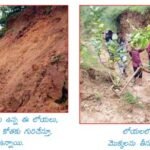 శిథిలాల నుండి పంటకోత వరకు